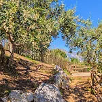 فندق مبيت وإفطار Ci Vulia - Sicilia, Con Colazione, Piscina, Barbecue, Parcheggio, Free Wifi, Sea Pool And Bbq ألكامو مارينا