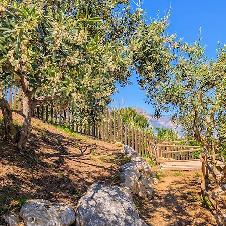 Alojamento de Acomodação e Pequeno-almoço Ci Vulia - Sicilia, Con Colazione, Piscina, Barbecue, Parcheggio, Free Wifi, Sea Pool And Bbq Alcamo Marina